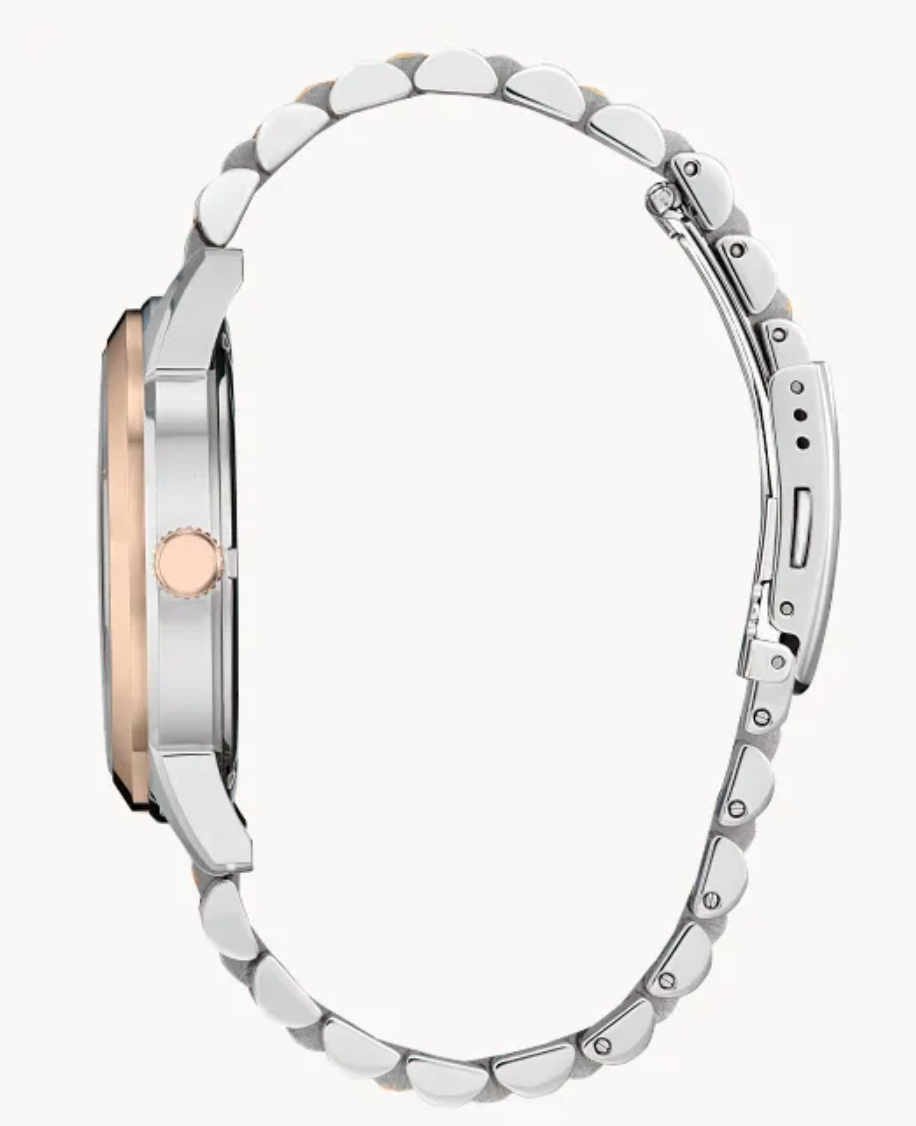 Citizen Rolan Eco-Drive Brown Dial Two-Tone Men’s Watch | Luxero