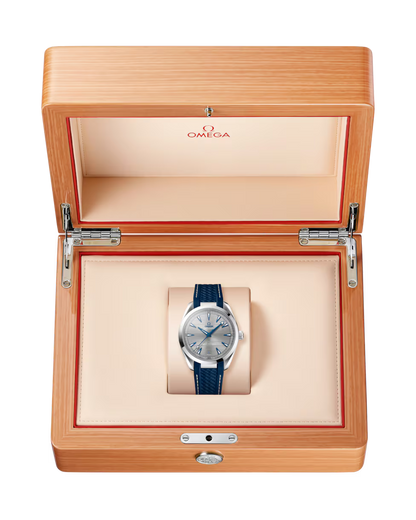 Omega Seamaster Aqua Terra Grey Dial Stainless Steel Automatic 41mm 220.12.41.21.06.001