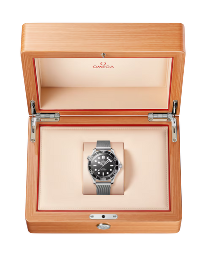 Omega Seamaster Diver 300M Black Dial Stainless Steel Automatic Men's Dive Watch 210.30.42.20.01.010