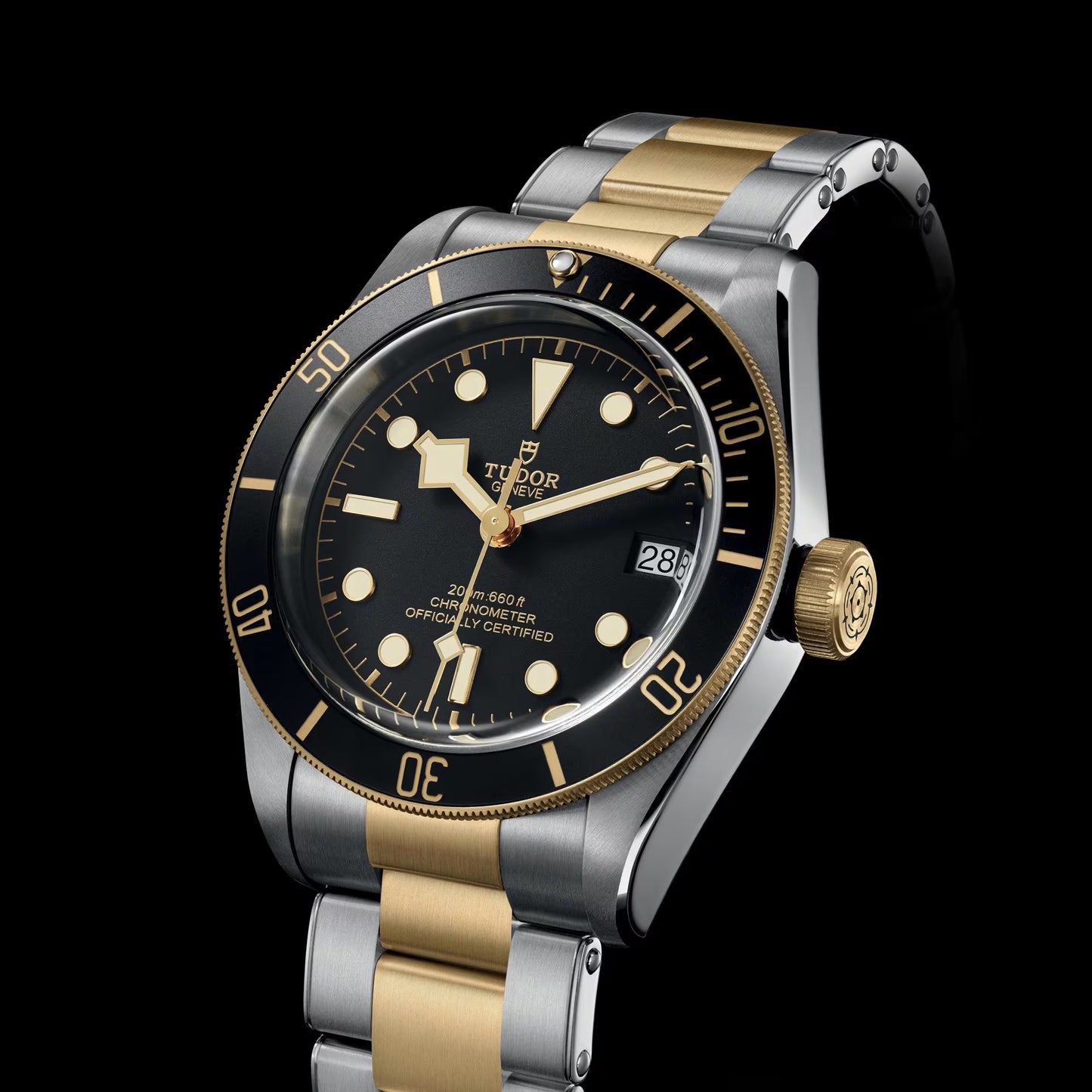 Tudor Heritage Black Bay S&G M79733N-0008 – Men's Automatic Two-Tone Stainless Steel Watch, Black Dial, Gold Bezel, 70-H Power Reserve & 200M WR